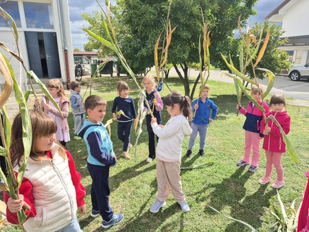 Botra-jesen (6)